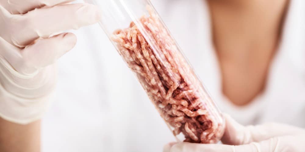 Lab-Grown Meat (1)