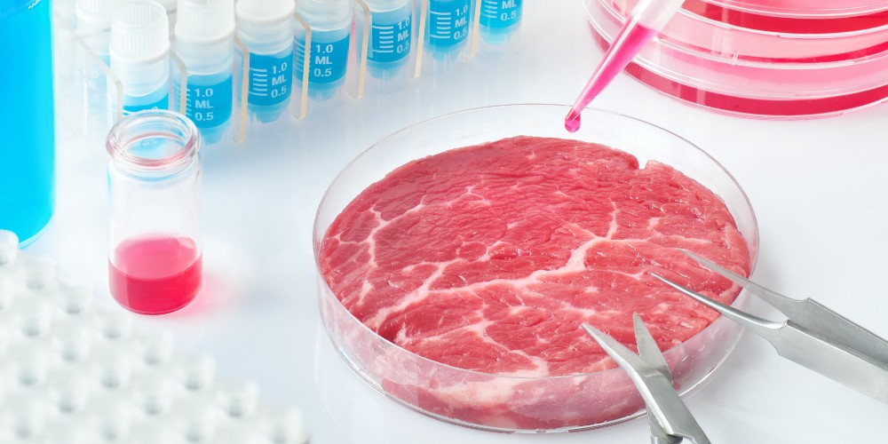 Three Reasons Lab-Grown “Meat” Must Be Stopped